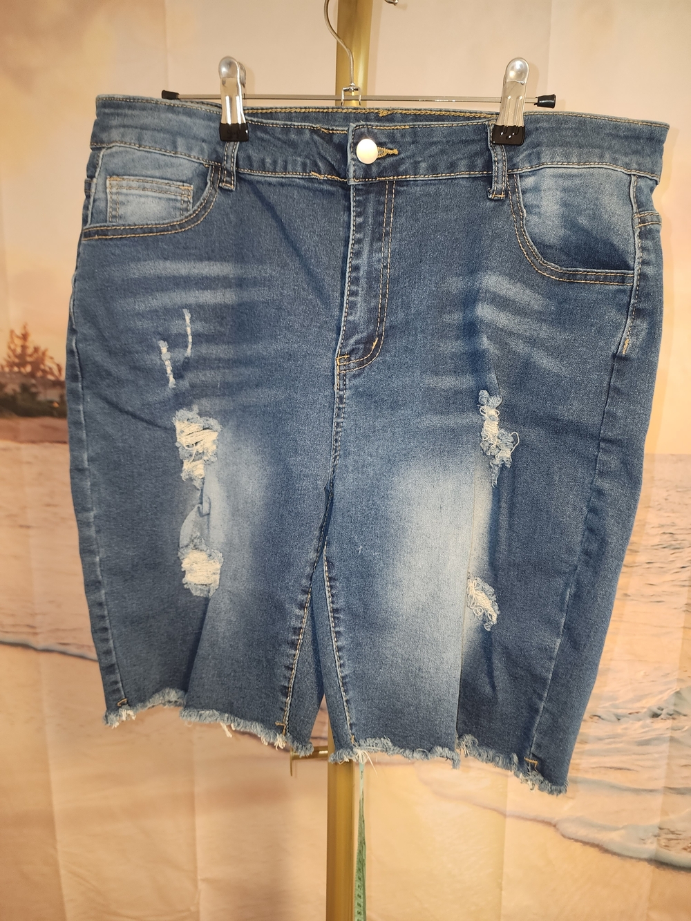 Source Unknown Distressed Blue Denim Jean Shorts